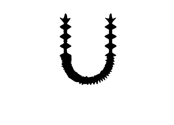 Crazy Spiky Cactus Themed Mono: A Craft-Friendly Graphic Design Asset